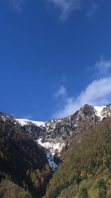 Il Sole Di Ester Бранці Екстер'єр фото